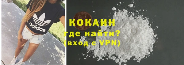 хмурый Арсеньев