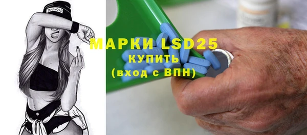 хмурый Арсеньев