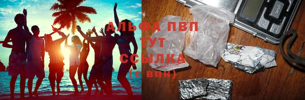 хмурый Арсеньев