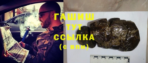 хмурый Арсеньев