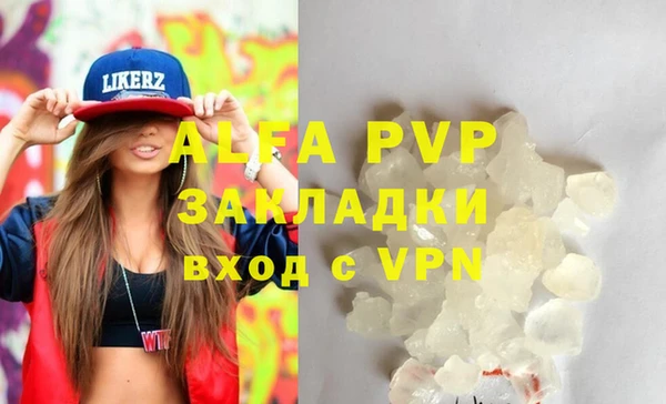 хмурый Арсеньев